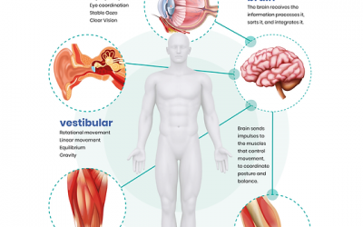 Modified Clinical Test of Sensory Interaction in Balance – mCTSIB. How to perform and interpret the results!